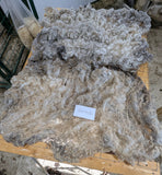 Gertrude's Fleece Grey Rooed 2025
