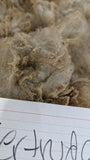 Gertrude's Fleece Grey Rooed 2025