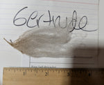 Gertrude's Fleece Grey Rooed 2025