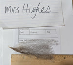 Mrs. Hughes's Fleece Grey Rooed 2025