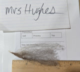 Mrs. Hughes's Fleece Grey Rooed 2025