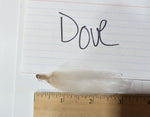 Dove's Fleece White Rooed 2025