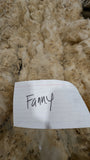 Fanny's Fleece Fawn Half Sheared/Half Rooed 2025