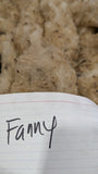 Fanny's Fleece Fawn Half Sheared/Half Rooed 2025