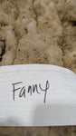 Fanny's Fleece Fawn Half Sheared/Half Rooed 2025