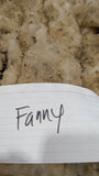 Fanny's Fleece Fawn Half Sheared/Half Rooed 2025