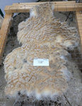 Liverpool's White Half Sheared/Half Rooed 2025