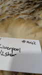 Liverpool's White Half Sheared/Half Rooed 2025