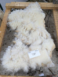 Liverpool's White Half Sheared/Half Rooed 2025