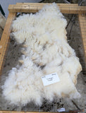 Liverpool's White Half Sheared/Half Rooed 2025