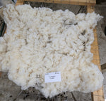 Liverpool's White Half Sheared/Half Rooed 2025