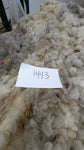 Chelsea's Fleece Grey Rooed 2025
