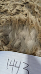 Chelsea's Fleece Grey Rooed 2025