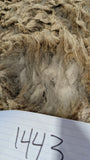 Chelsea's Fleece Grey Rooed 2025