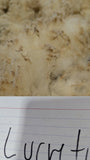 Lucretia's Fleece White Rooed 2025