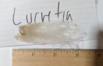Lucretia's Fleece White Rooed 2025