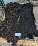 Elektra's Fleece Black Rooed 2025