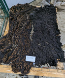 Elektra's Fleece Black Rooed 2025