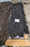 Elektra's Fleece Black Rooed 2025