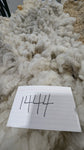 Wrexham's Fleece Grey Rooed 2025