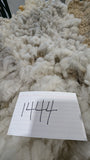 Wrexham's Fleece Grey Rooed 2025