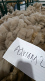 Adrianna's Fleece Moorit Rooed 2025