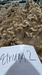 Adrianna's Fleece Moorit Rooed 2025