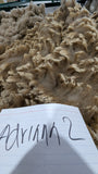 Adrianna's Fleece Moorit Rooed 2025