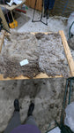 Magpie's Fleece Fawn Rooed 2025