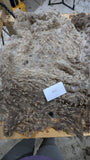 Magpie's Fleece Fawn Rooed 2025