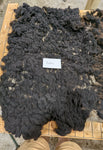 Paulina's Fleece Black Rooed 2025