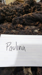 Paulina's Fleece Black Rooed 2025