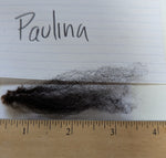 Paulina's Fleece Black Rooed 2025