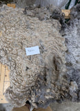 Adelina's Fleece Grey Rooed 2025