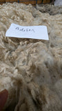 Adelina's Fleece Grey Rooed 2025