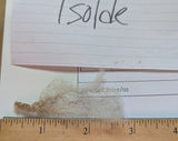 Isolde's Fleece Grey Rooed 2025