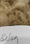 Belva's Fleece White Rooed 2025