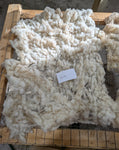 Belva's Fleece White Rooed 2025