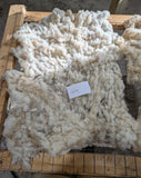 Belva's Fleece White Rooed 2025