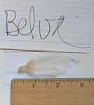 Belva's Fleece White Rooed 2025