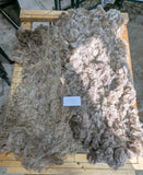 Wren's Fleece Fawn Rooed 2025