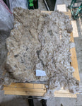 Dina's Fleece Fawn Rooed 2025