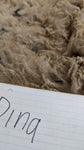 Dina's Fleece Fawn Rooed 2025