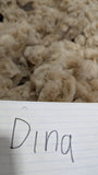 Dina's Fleece Fawn Rooed 2025