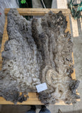 Rosalind's Fleece Grey Rooed 2025