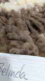 Belinda's Fleece Moorit Rooed 2025