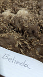Belinda's Fleece Moorit Rooed 2025