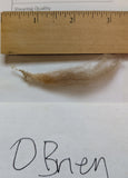 O'Brien's Fleece Moorit Rooed 2025
