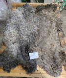 Robin's Fleece Grey Rooed 2025