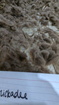 Chickadee's Moorit Rooed 2025